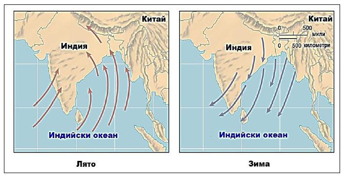 Сезонната ритмичност на кой от периодичните ветрове е представена на схемата