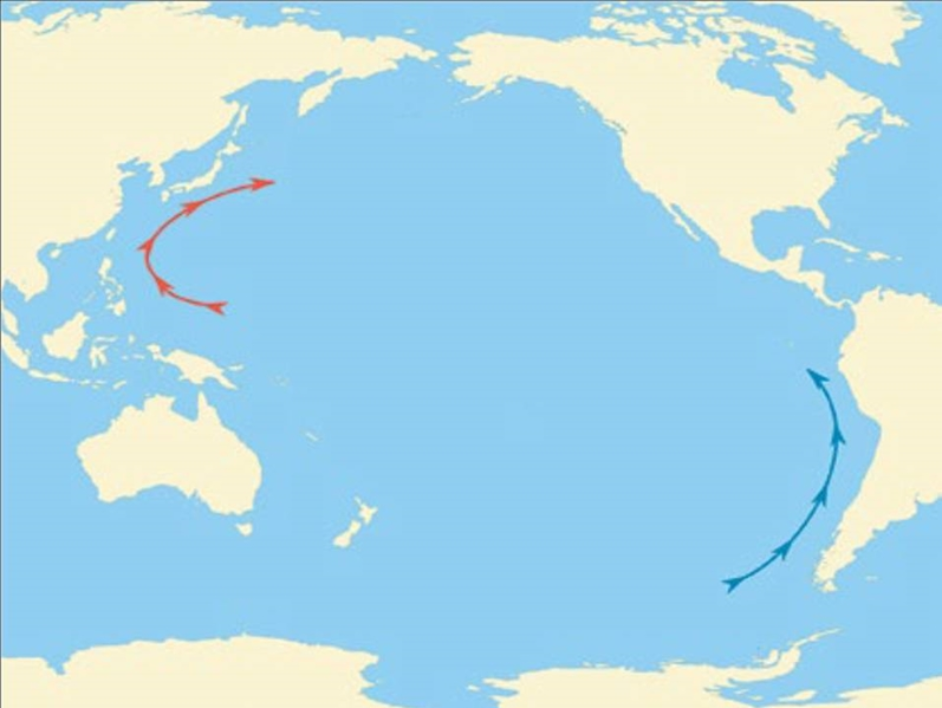 16 На фигурата са показани две от големите течения в Тихия океан Кои са те